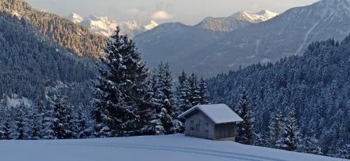 Bergfee Natur Appartements