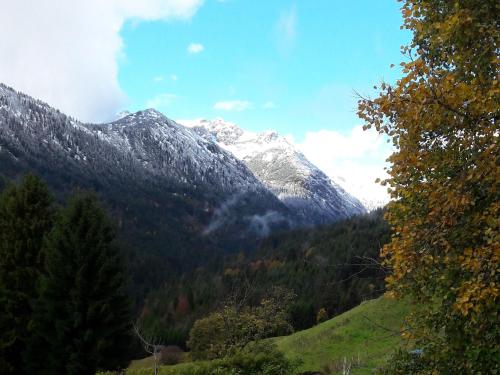 Bergfee Natur Appartements