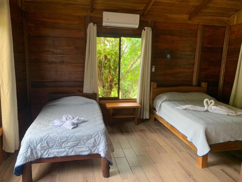 Cataratas Bijagua Lodge, incluye tour autoguiado Bijagua Waterfalls Hike