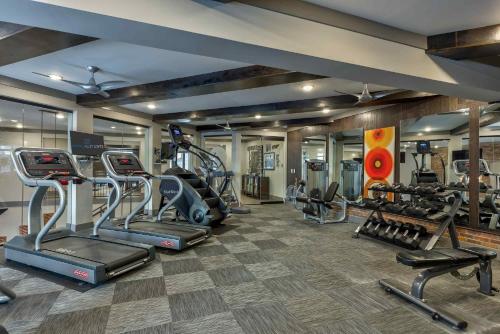 Cozy and Bright Apartments at Marble Alley Lofts in Downtown Knoxville in Knoxville, USA