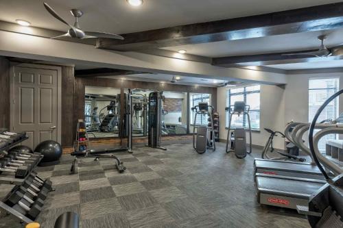 Cozy and Bright Apartments at Marble Alley Lofts in Downtown Knoxville in Knoxville, USA