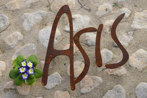 Asis de Marratxinet - image 12