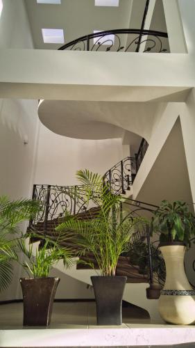 Hotel Osalle Inn in Santiago Tuxtla