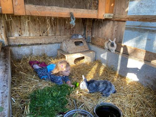 兹塔斯巴瓦农家乐 兹塔斯巴瓦农家乐