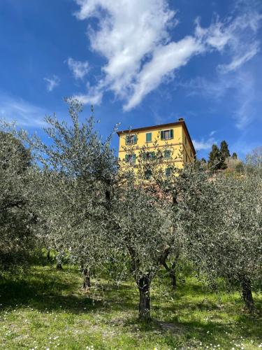 CANALE SUITE panoramic view - Natural Park