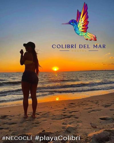 Colibri del Mar photo