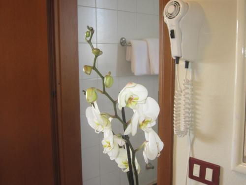 Albergo Trattoria Fioravante - image 11