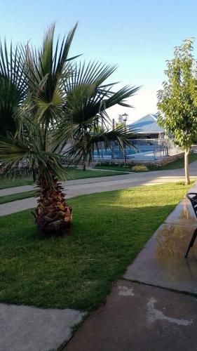 Garden, Alma de Campo in San Rafael