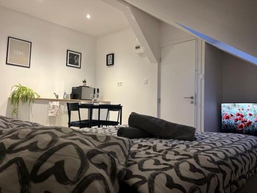 Cosy Rent Strasbourg TV. Wifi Studio Gare 2