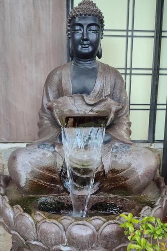 Zen Guest House - Museu do Bonsai 4