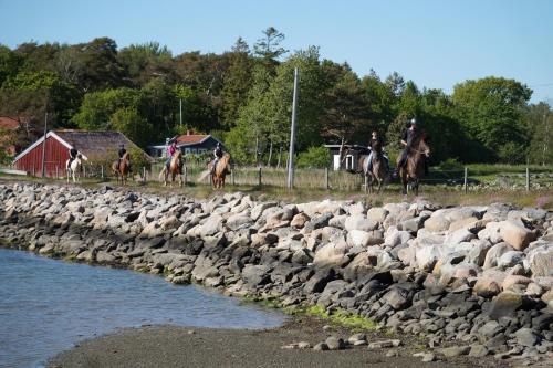 Tofta Herrgård - image 5