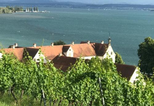 Bodenseepanorama Oberuhldingen