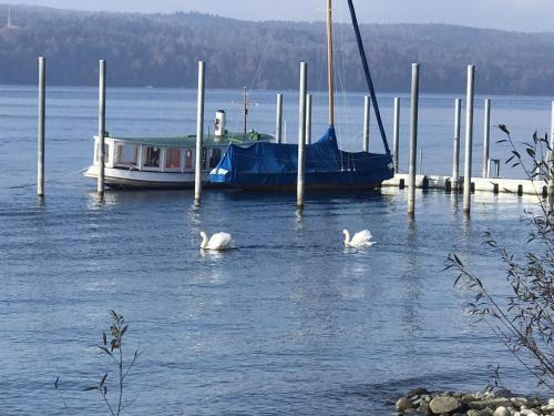 Bodenseepanorama Oberuhldingen