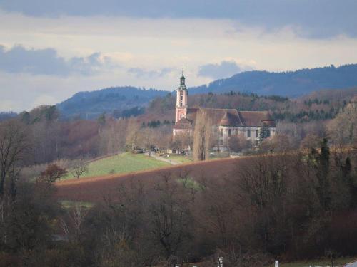 Bodenseepanorama Oberuhldingen