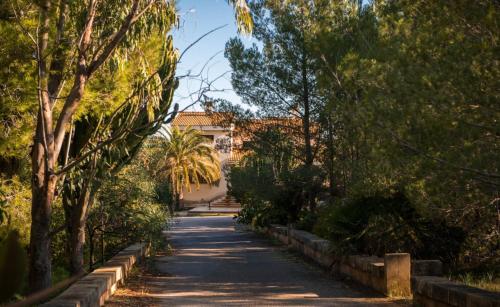 Finca Ceguer MHM - image 5