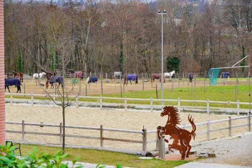 Ticino Bella Apartment - Mendrisio