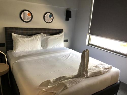 Yarinn – Vijayawada, IA