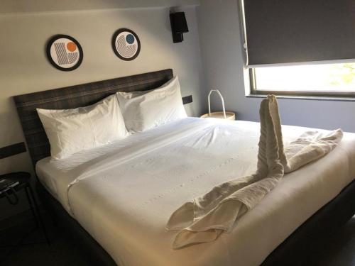 Yarinn – Vijayawada, IA