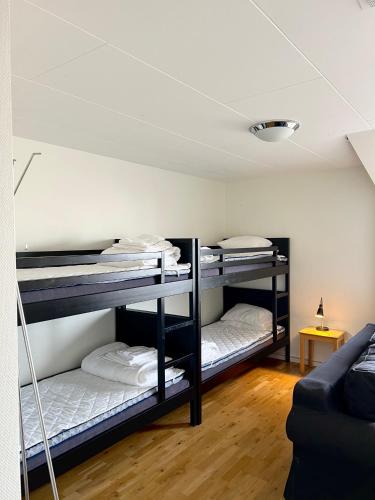 Vandrarhem Nattmössan - main image