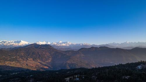 THE HIMALAYAN WOODS, CHAUKORI