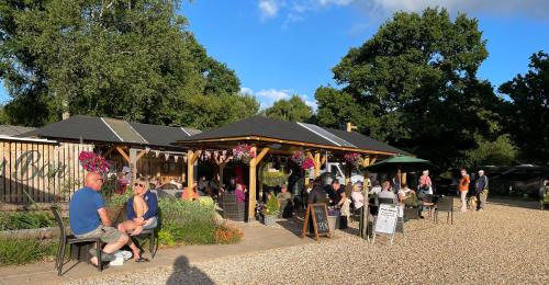 Glamping at Back Of Beyond Touring Park - Hotel - Saint Leonards