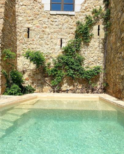  ELS RACONS DEL FORT Castle in wine territory in Capmany