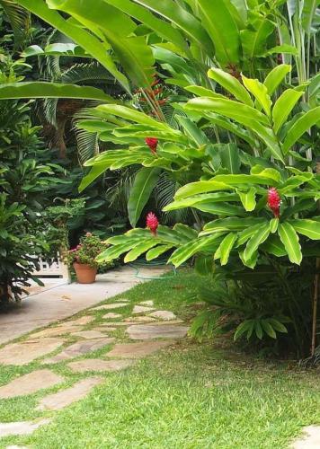 Tropical Garden Studio - Pool on property - image 6