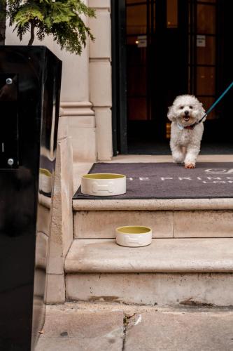 The Prince Akatoki London - main image