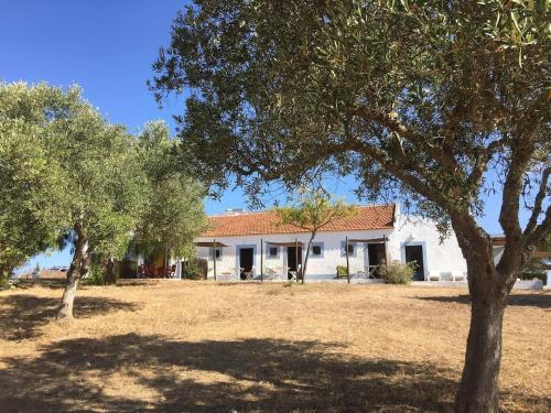 Casas na Vinha - Monte da Casteleja, Wine Estate - Eco Turismo Rural