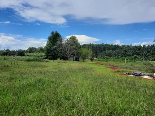 La cabaña forestal - 3000 m2