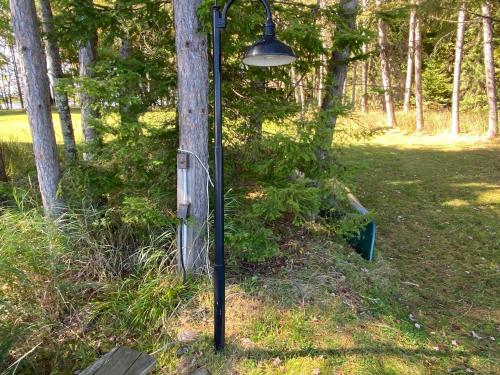 Two Bear Lodge on Lost Land Lake