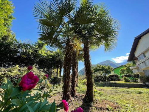  Villa AURORA in 6518 Gorduno