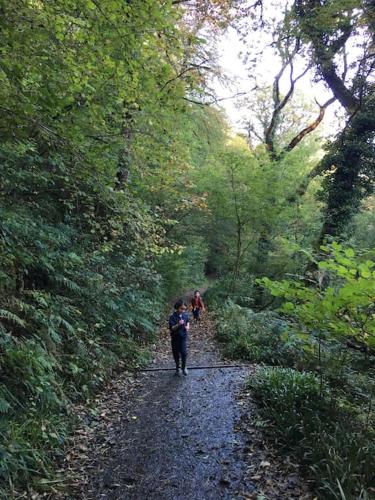 Tamar Valley, Cornwall