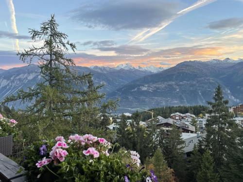 Magnifique résidence à quelques pas des remontées mécaniques et centre Montana (Magnifique residence a quelques pas des remontees mecaniques et centre Montana) in Randogne