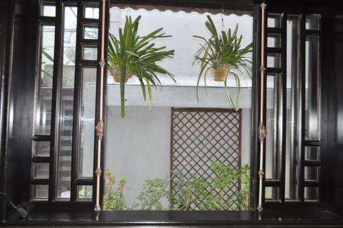 Green CoCo HomeStay - image 3