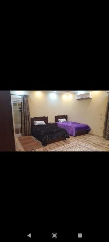مدينه نصر مكرم عبيد, Cairo (photo 10)
