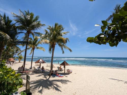 Le Laïlana (Le Lailana) in 세인트 프란코이스