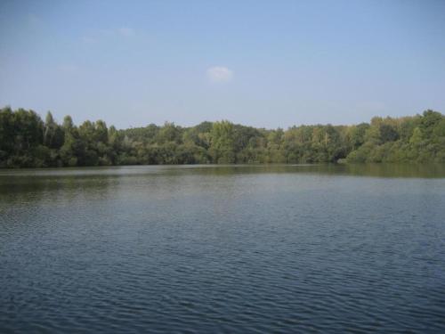 Gîte Saint-Viâtre 2 pièces 3 personnes - FR-1-491-271 - image 13