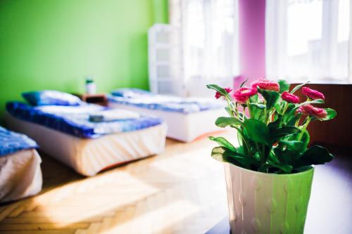 Hostel Tara, Cracovia (foto 6)