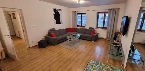 Apartmany U Lva