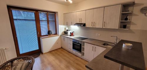 Apartmany U Lva