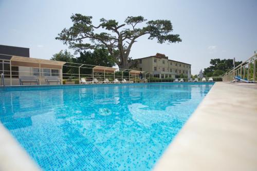 Swimming pool, Haile Resort Ziway Batu in Shashamane