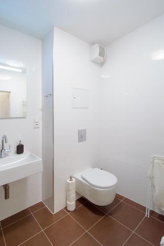 One-Bedroom Apartment image 6