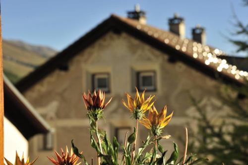 Hotel Chesa Staila - image 13