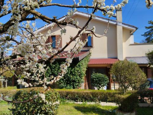 . B&B Angolo Verde