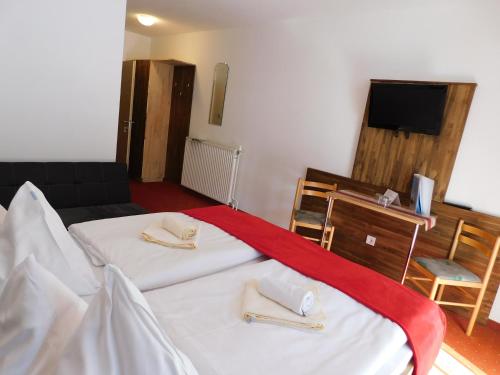 Alpenhotel Lanz - image 13