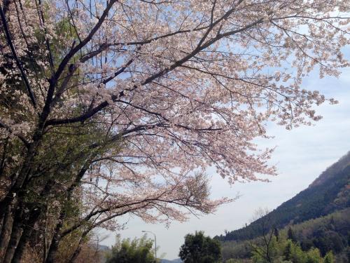 야마시로야 - 편의 시설/서비스