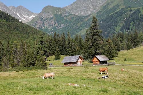 Alpenhotel Lanz - image 12