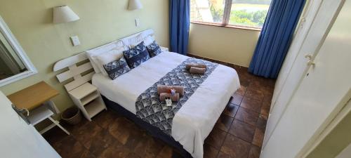 Pearly Shells in Scottburgh