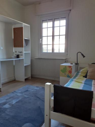 Coquet appartement 6 personnes avec jardin - Location saisonnière - Wintzenheim